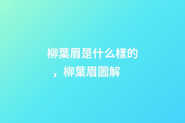 柳葉眉是什么樣的，柳葉眉圖解